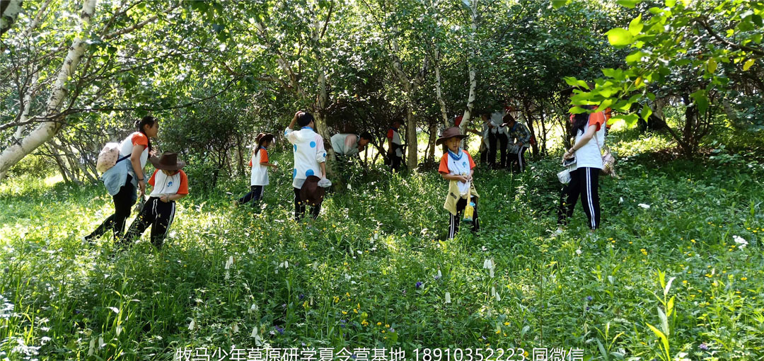 山東濟(jì)南小海豚牧馬少年草原夏令營(yíng)