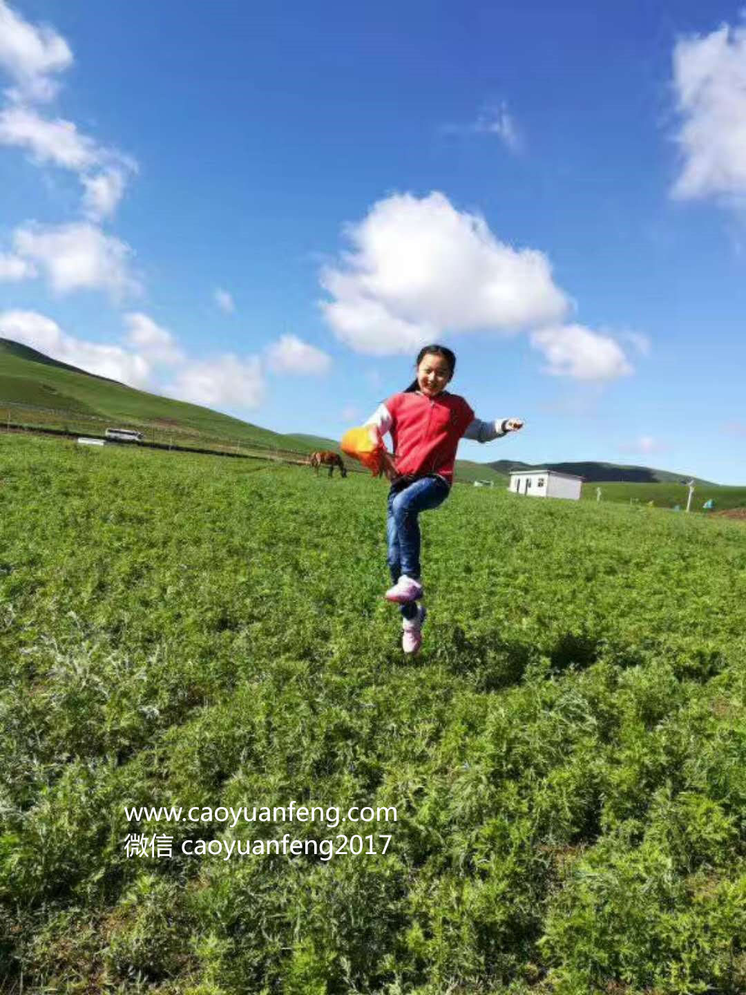 小老虎草原夏令營(yíng)