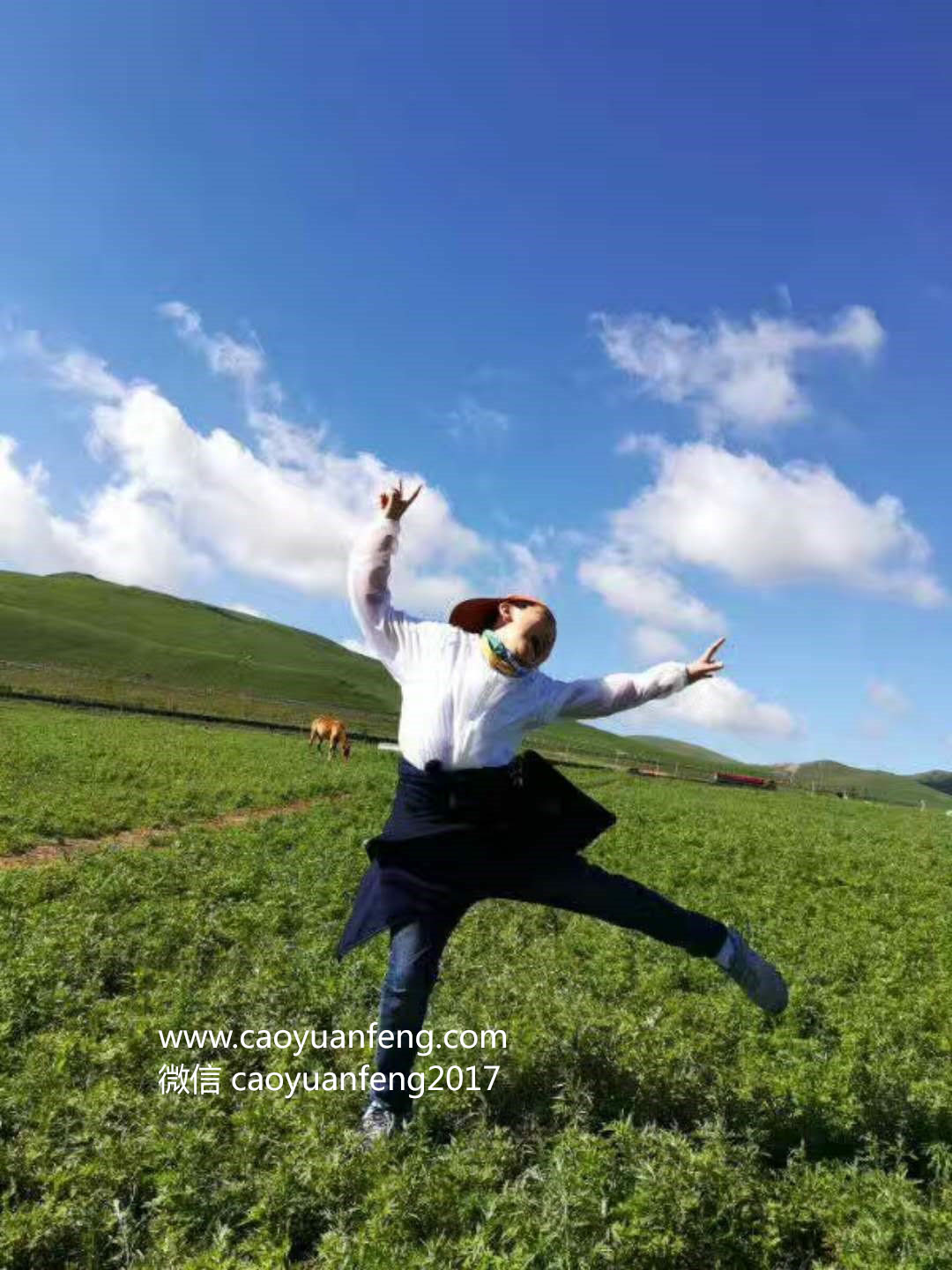小老虎草原夏令營(yíng)