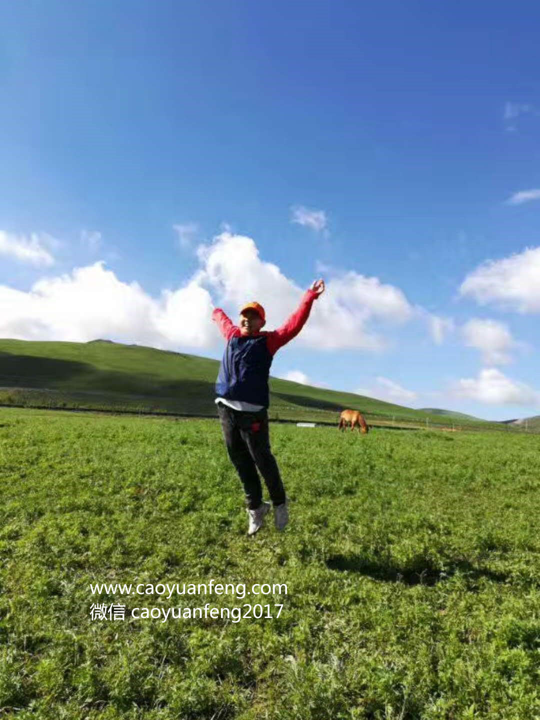 小老虎草原夏令營(yíng)