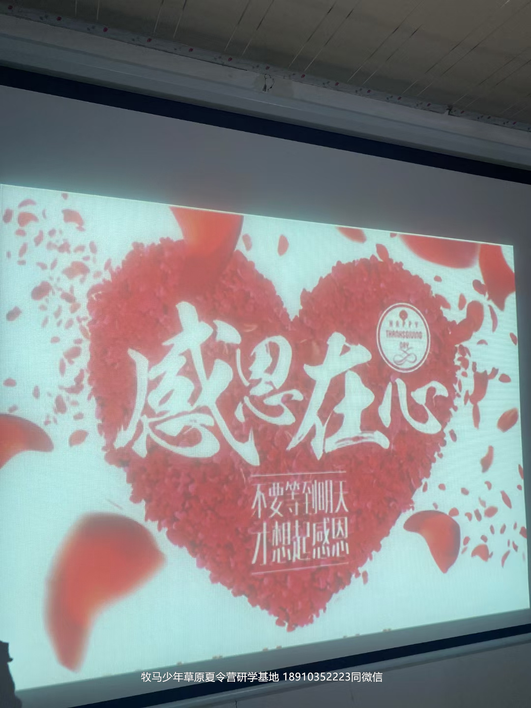 小清華自信拓展草原神鷹夏令營(yíng)