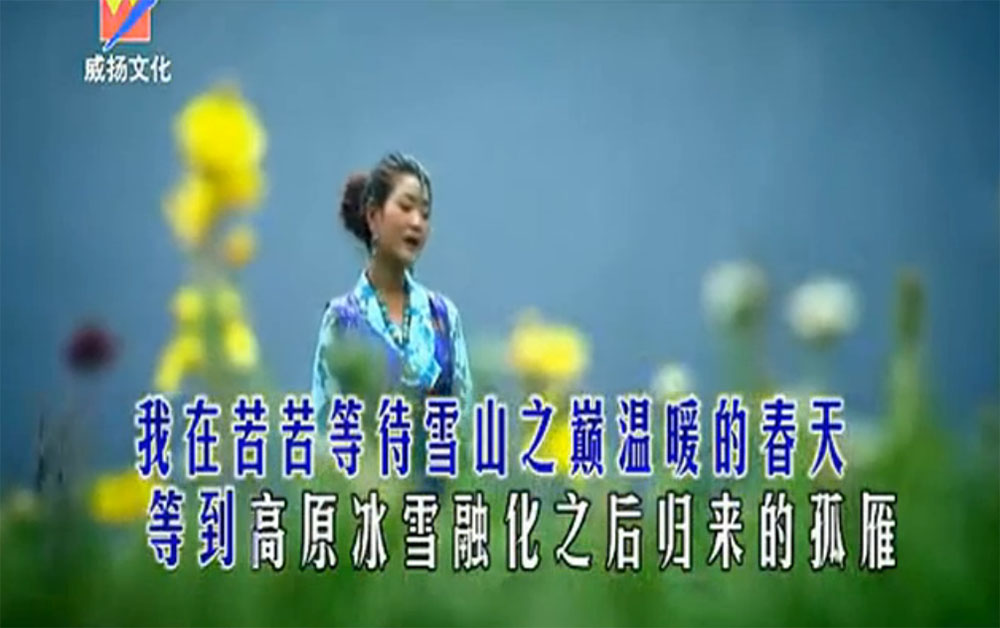 西海情歌 降央卓瑪 高清MV MP3下載