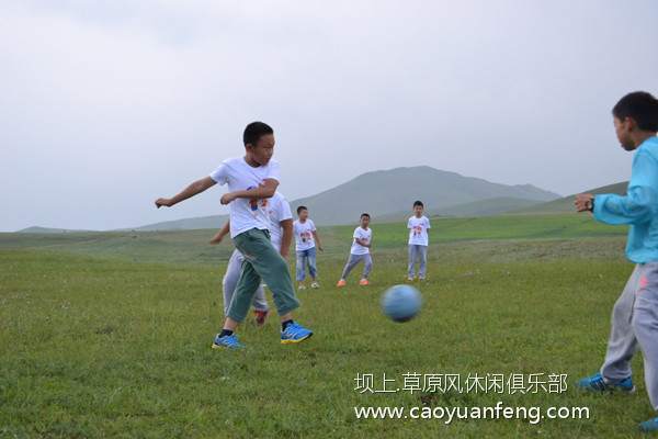 東營(yíng)城市信報(bào)小記者 2015壩上草原夏令營(yíng)