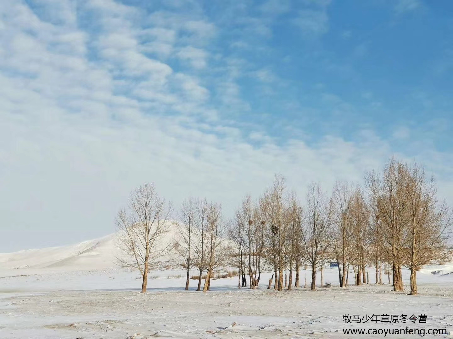 中關村二小星云社小小天文家草原冬令營