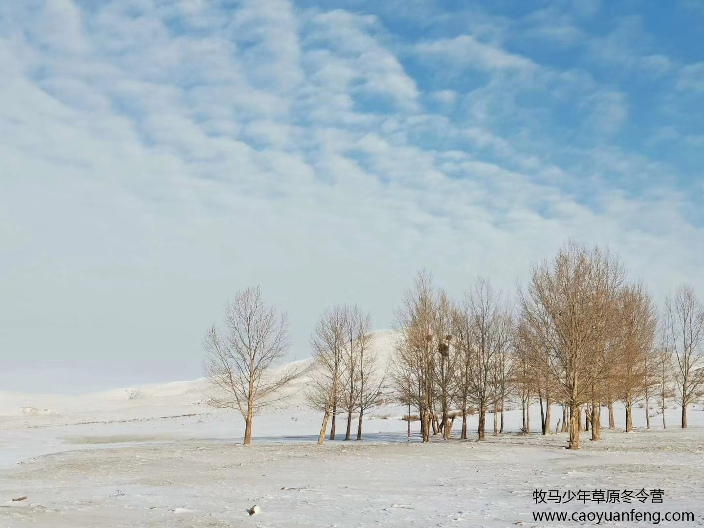 中關村二小星云社小小天文家草原冬令營