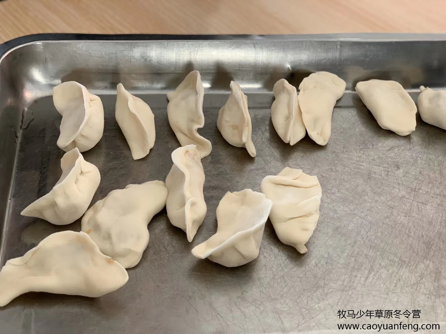 中關村二小星云社小小天文家草原冬令營