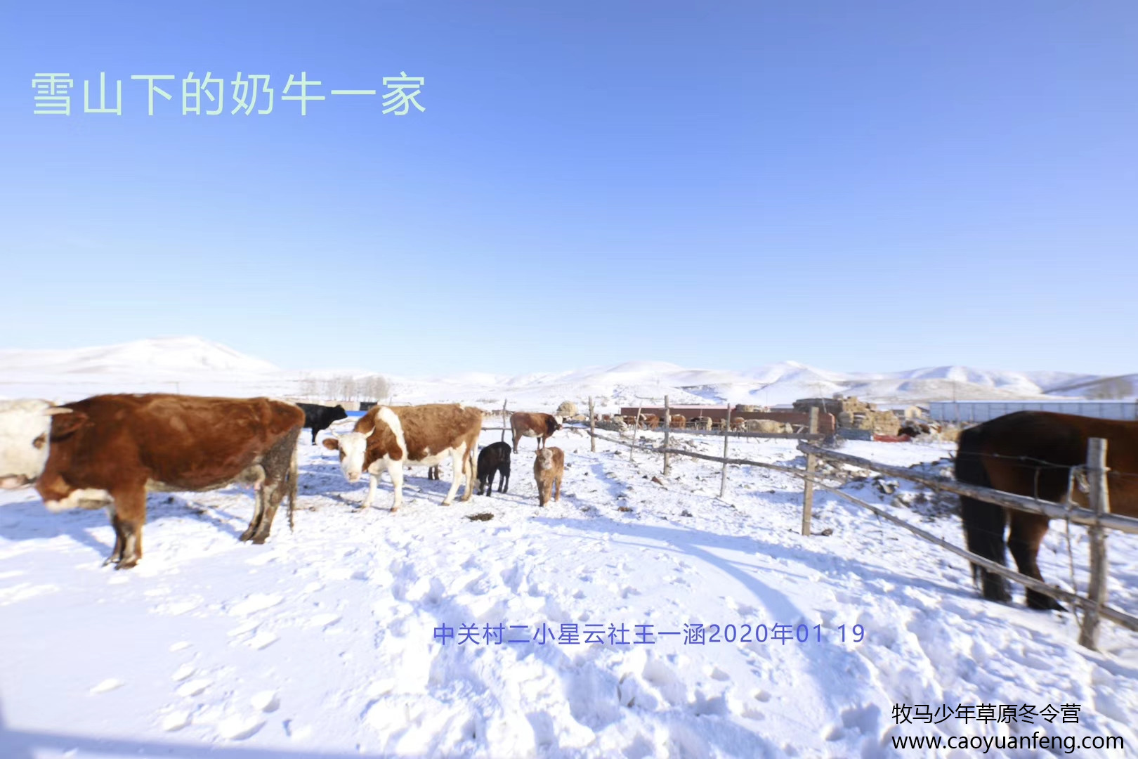 中關村二小星云社小小天文家草原冬令營