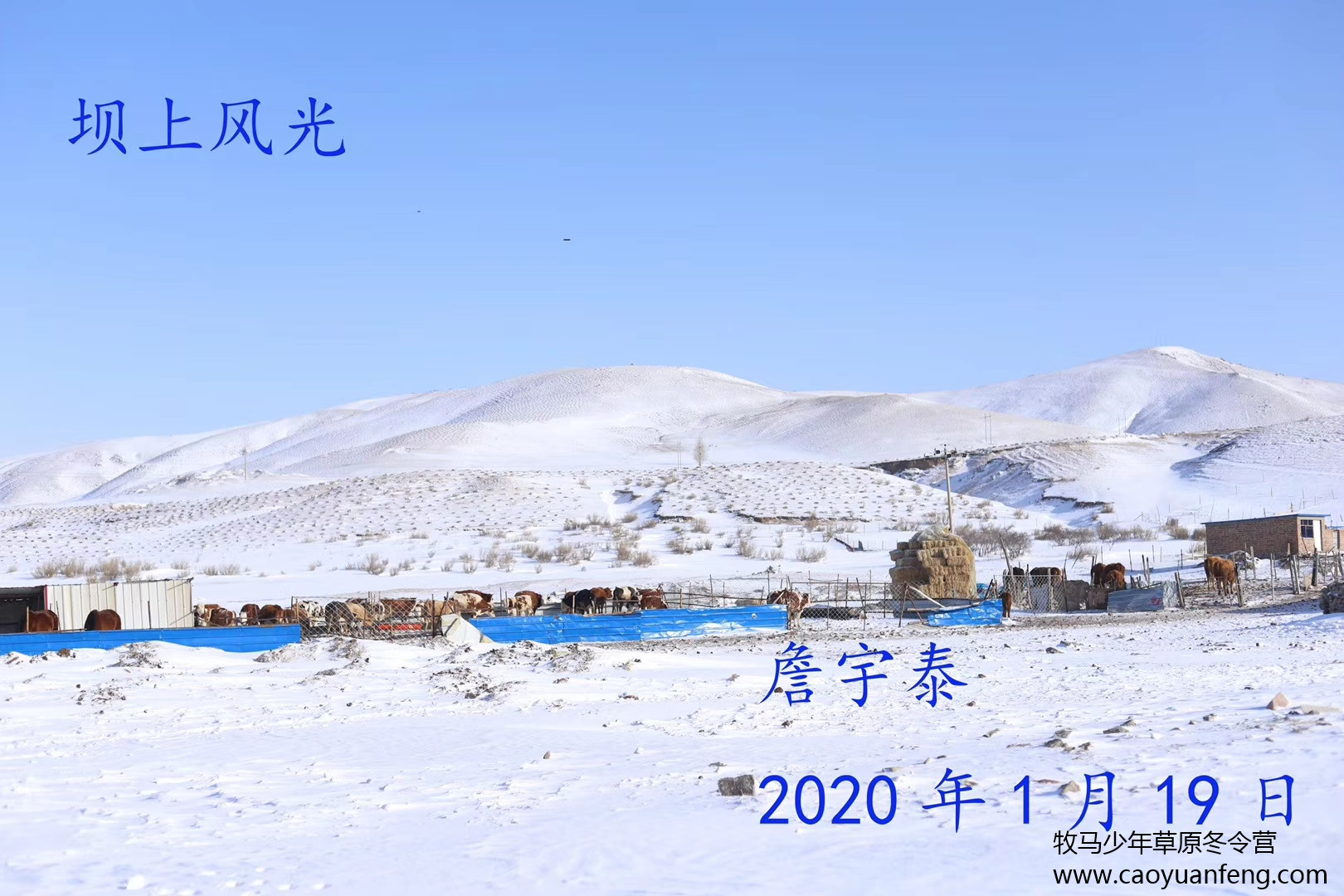 中關村二小星云社小小天文家草原冬令營