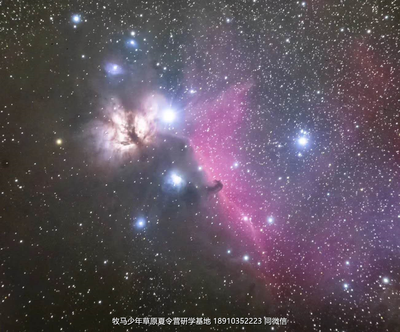 中關(guān)村二小星云社小小天文家草原冬令營