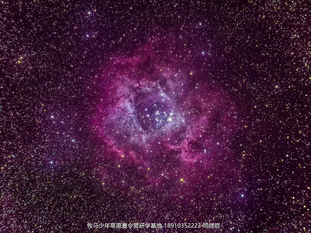 中關(guān)村二小星云社小小天文家草原冬令營