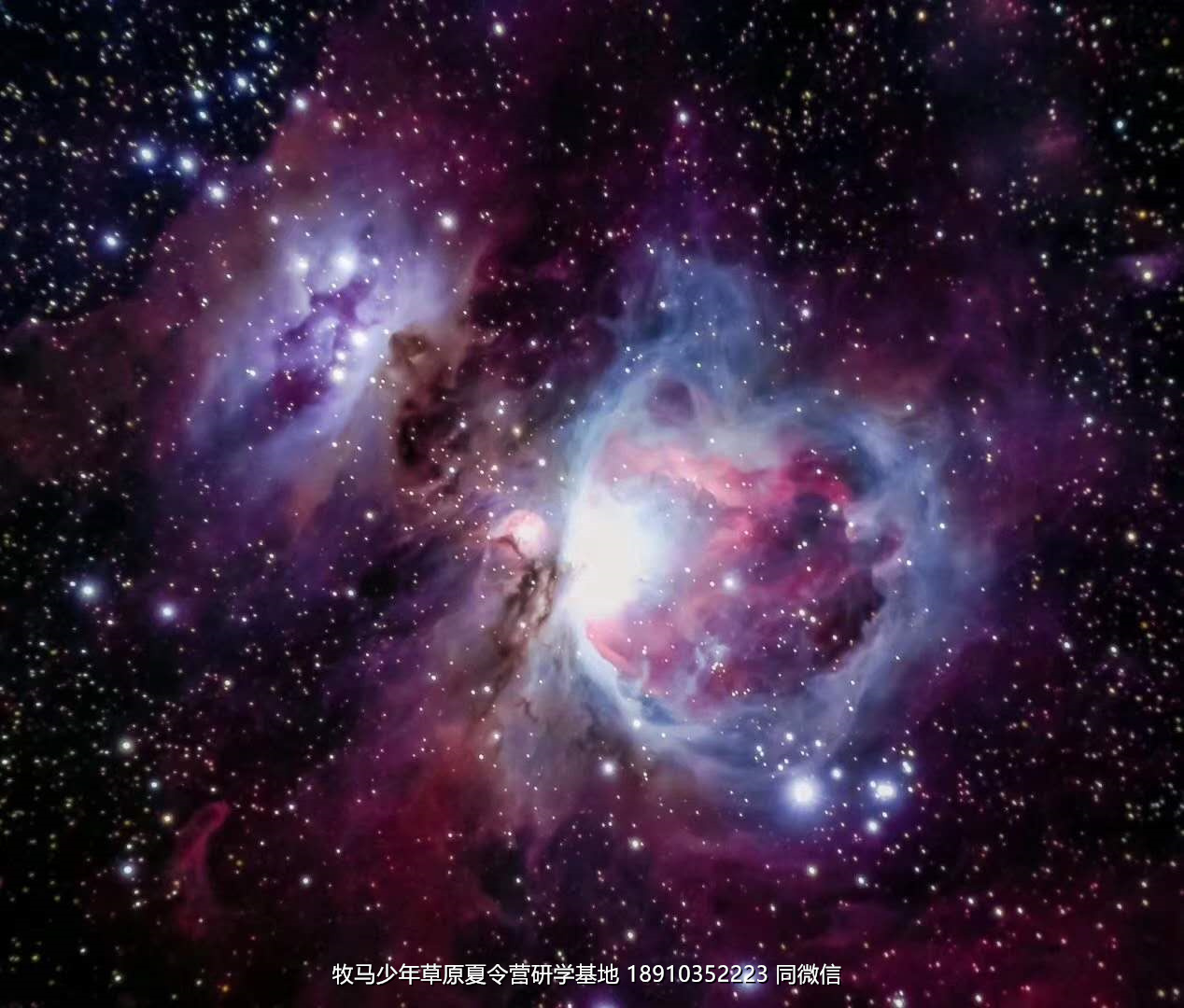 中關(guān)村二小星云社小小天文家草原冬令營