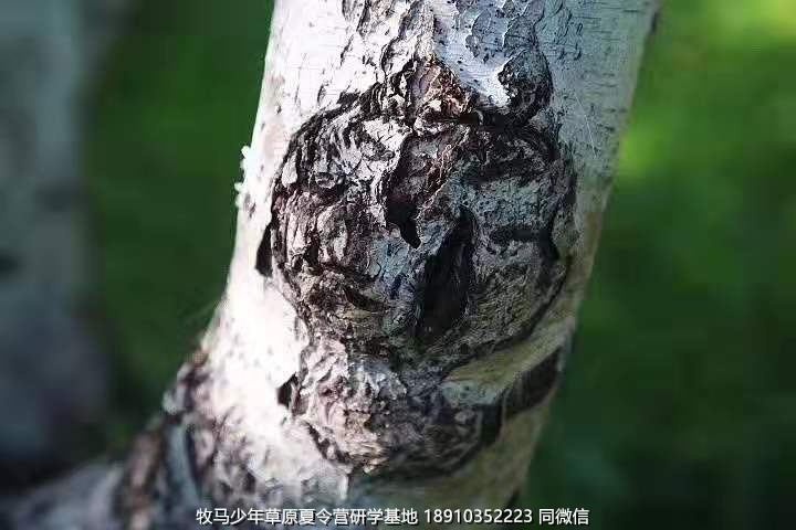 星云社小小天文家草原夏令營(yíng)