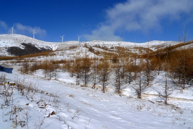 豐寧壩上賞雪景 飄雪壩上風(fēng)光攝影