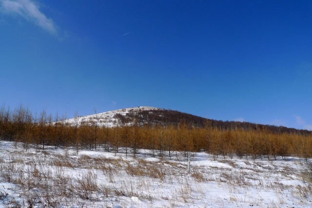 豐寧壩上賞雪景 飄雪壩上風(fēng)光攝影