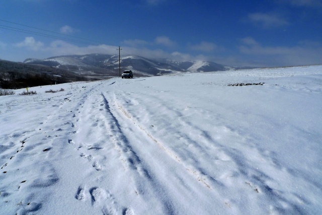 豐寧壩上賞雪景 飄雪壩上風(fēng)光攝影