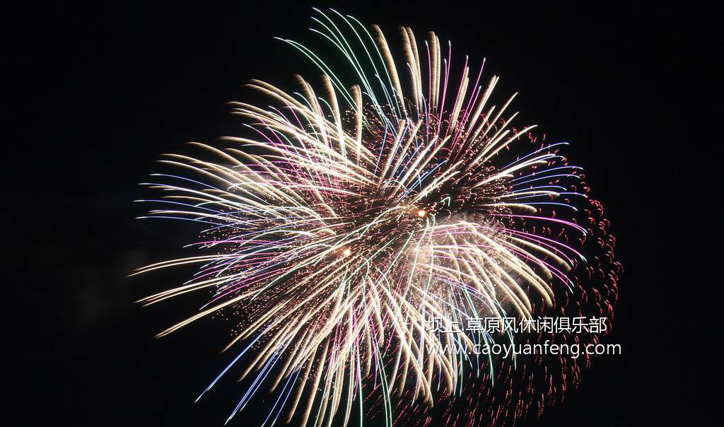 煙花燃放,草原夜空綻放美麗的花朵