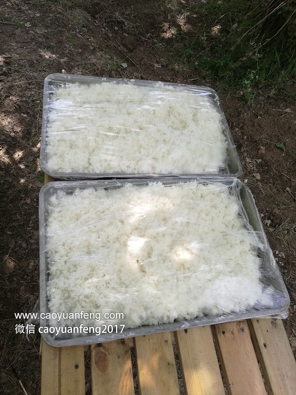 壩上獨(dú)家 野餐基地 帳篷營(yíng)地