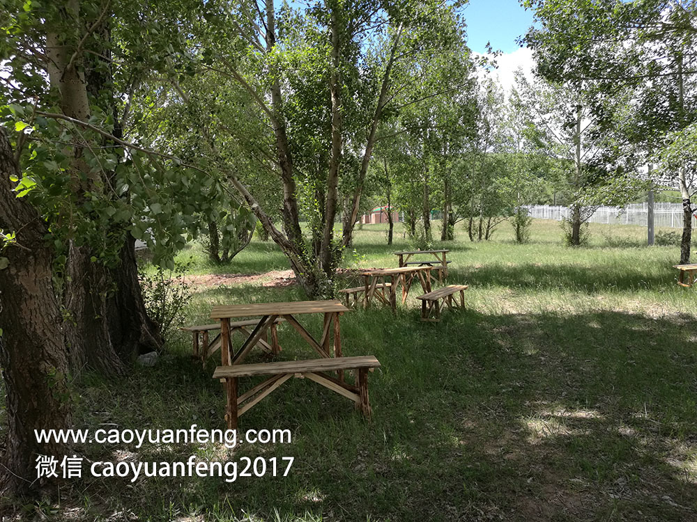 壩上獨(dú)家 野餐基地 帳篷營(yíng)地