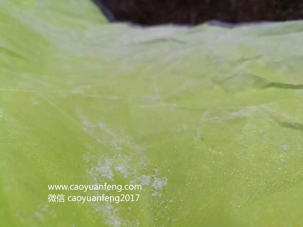 友情歲月 豐寧壩上 多倫 錫林浩特四天穿越活動