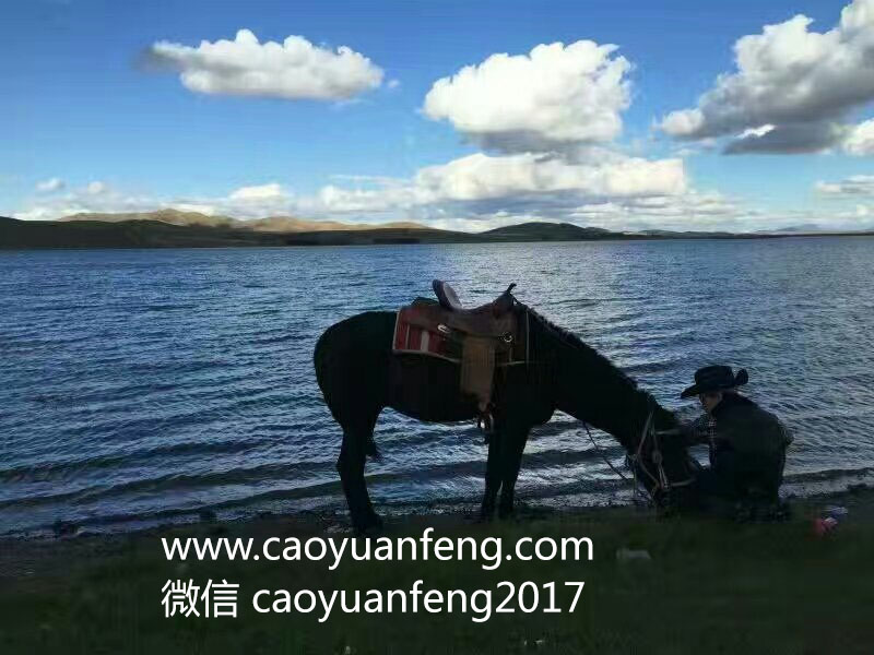 友情歲月 豐寧壩上 多倫 錫林浩特四天穿越活動