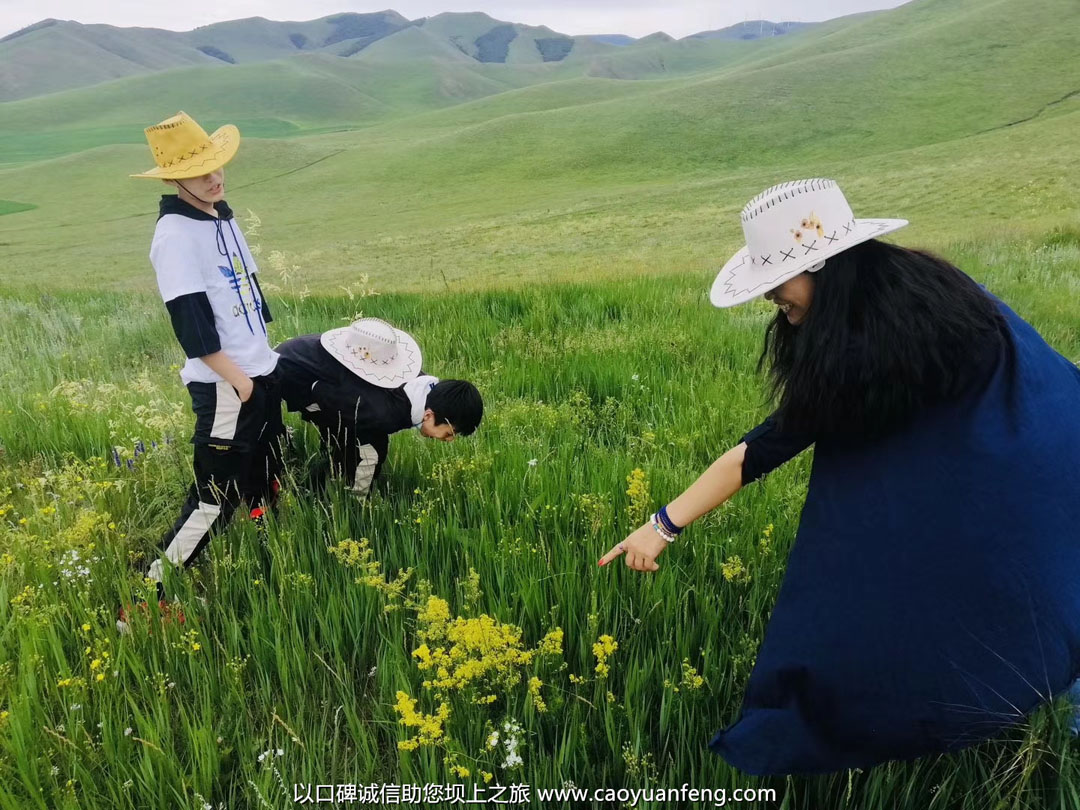 小團(tuán)隊(duì)壩上草原自駕3日游