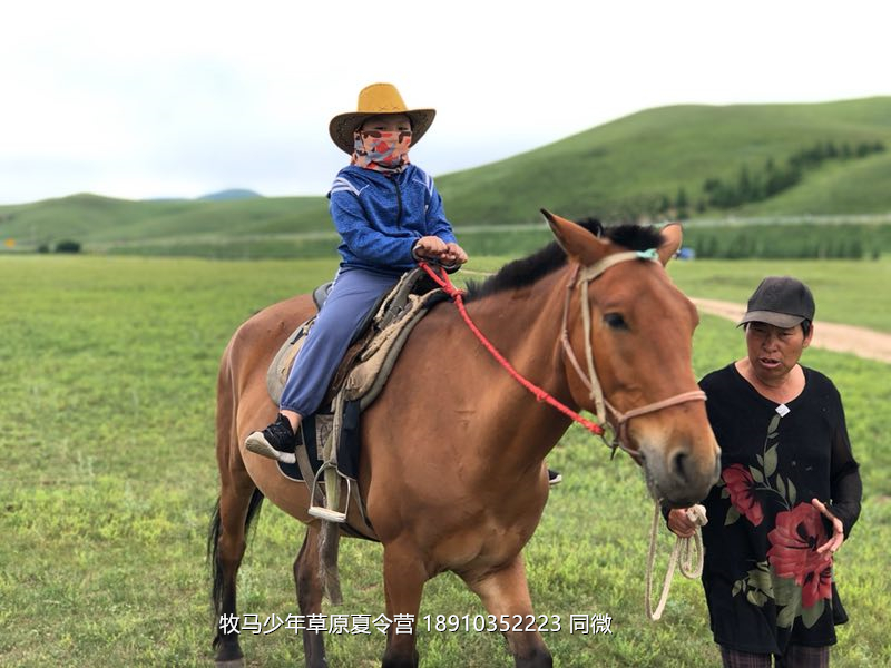 北京俱樂部壩上草原足球夏令營(yíng)