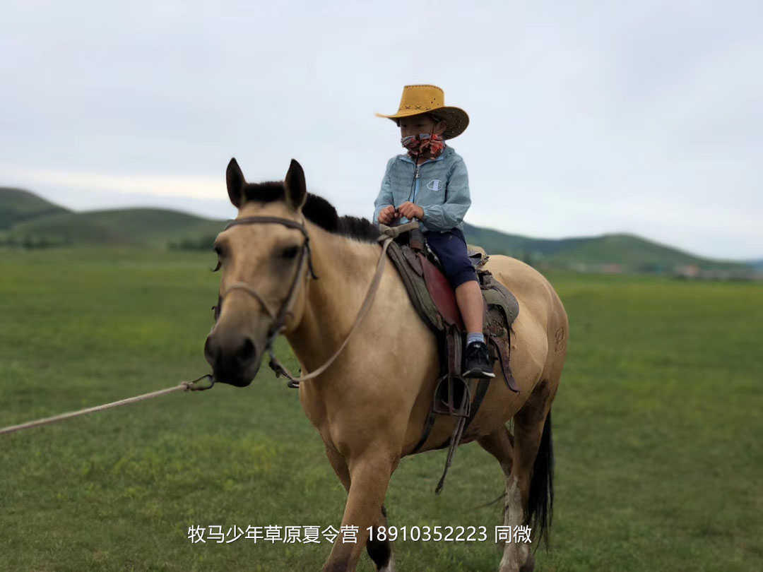 北京俱樂部壩上草原足球夏令營(yíng)