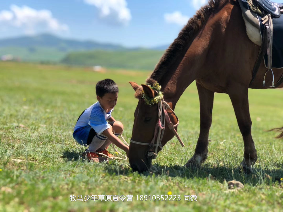 北京俱樂部壩上草原足球夏令營(yíng)
